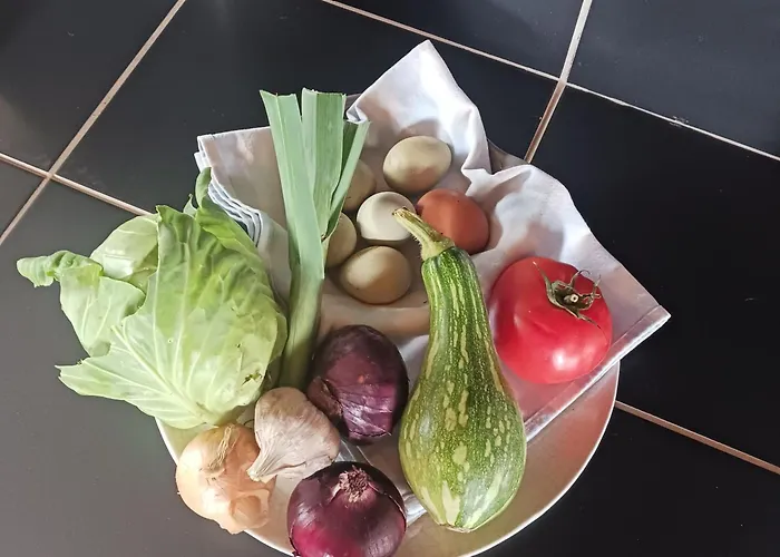 Casa vacanze Achadas Da Cruz Farm House Achadas da Cruz